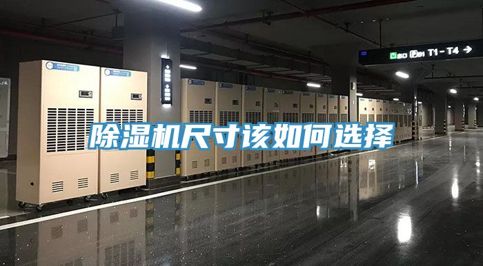 草莓污视频在线看尺寸該如何選擇
