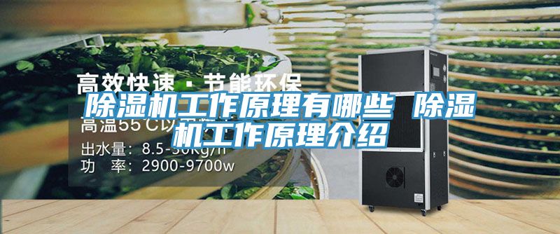 草莓污视频在线看工作原理有哪些 草莓污视频在线看工作原理介紹