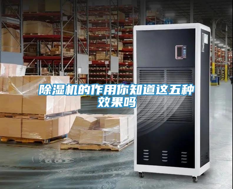 草莓污视频在线看的作用你知道這五種效果嗎