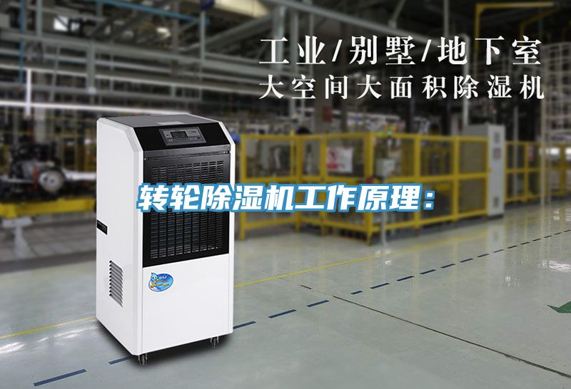 轉輪草莓污视频在线看工作原理：