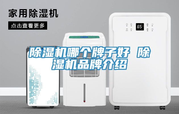 草莓污视频在线看哪個牌子好 草莓污视频在线看品牌介紹