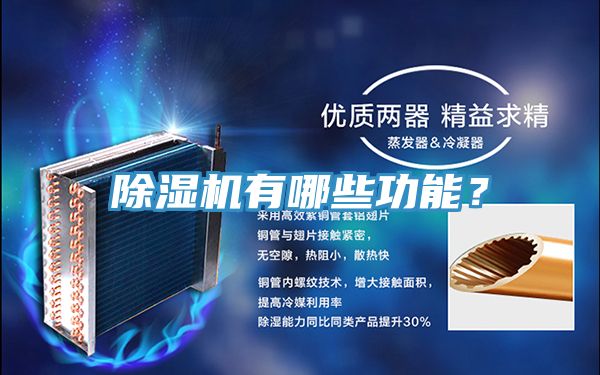 草莓污视频在线看有哪些功能？