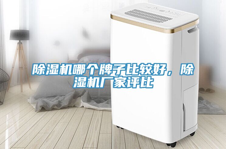草莓污视频在线看哪個牌子比較好，草莓污视频在线看廠家評比