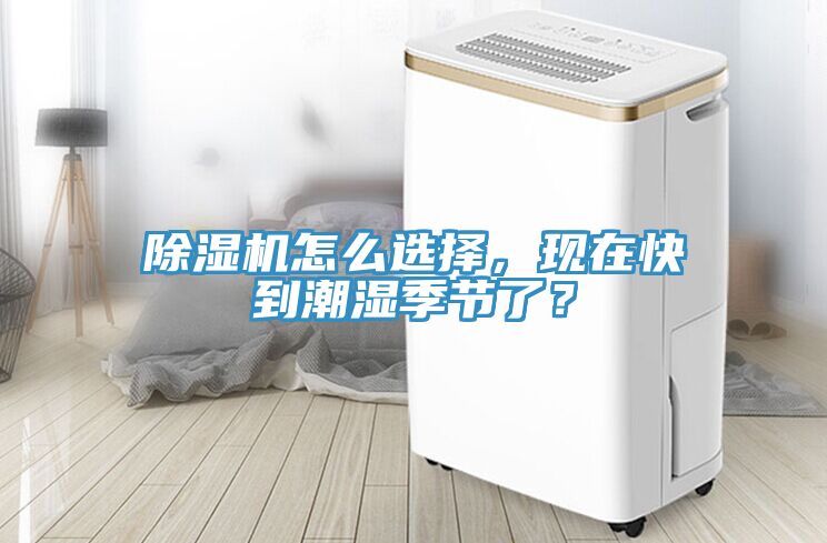 草莓污视频在线看怎麽選擇，現在快到潮濕季節了？
