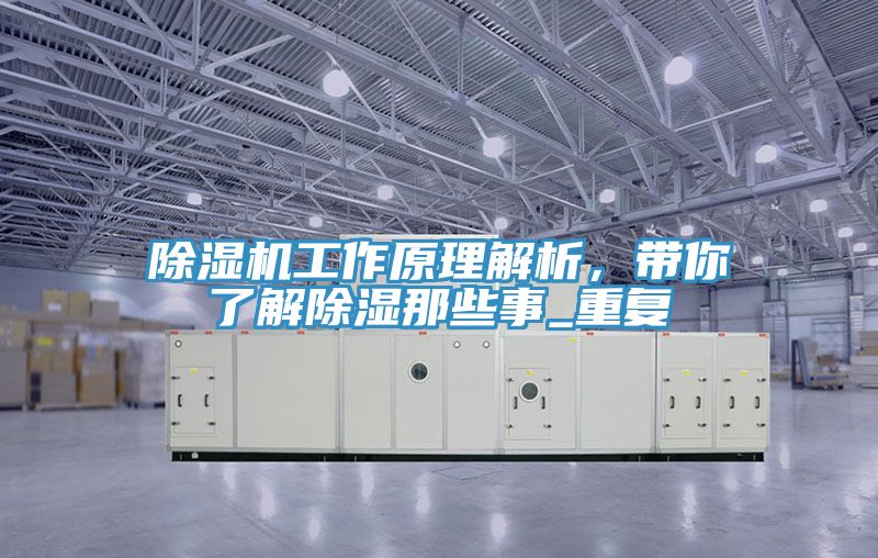 草莓污视频在线看工作原理解析，帶你了解除濕那些事_重複