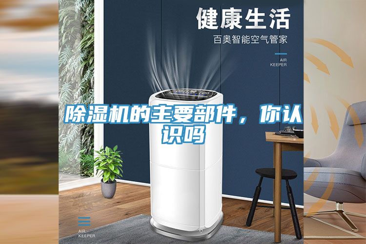 草莓污视频在线看的主要部件，你認識嗎