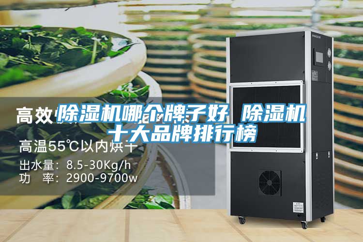 草莓污视频在线看哪個牌子好 草莓污视频在线看十大品牌排行榜