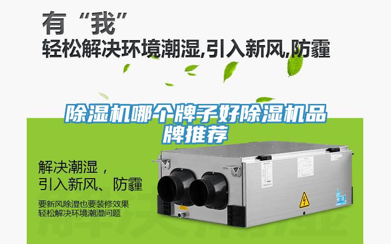 草莓污视频在线看哪個牌子好草莓污视频在线看品牌推薦