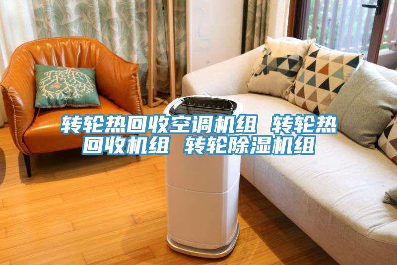轉輪熱回收空調機組 轉輪熱回收機組 轉輪草莓污视频在线看組