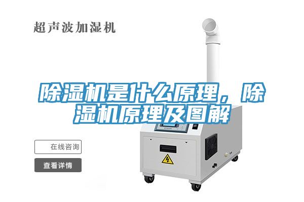 草莓污视频在线看是什麽原理，草莓污视频在线看原理及圖解