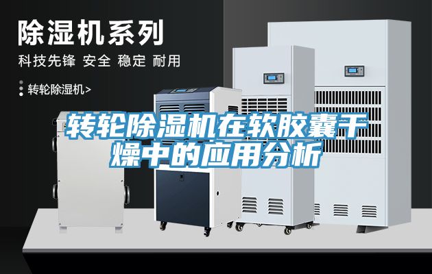 轉輪草莓污视频在线看在軟膠囊幹燥中的應用分析