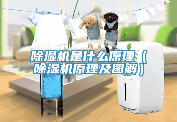 草莓污视频在线看是什麽原理（草莓污视频在线看原理及圖解）
