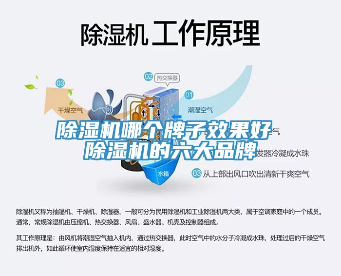 草莓污视频在线看哪個牌子效果好 草莓污视频在线看的六大品牌