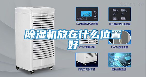 草莓污视频在线看放在什麽位置好