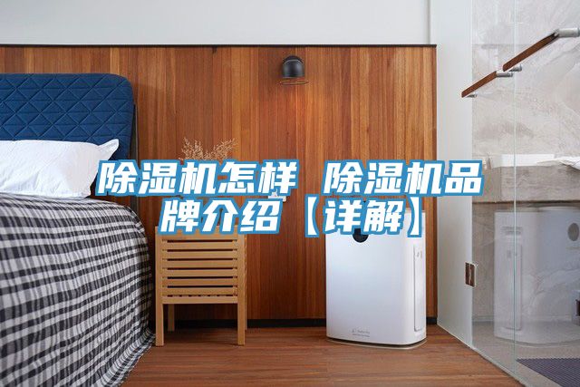 草莓污视频在线看怎樣 草莓污视频在线看品牌介紹【詳解】