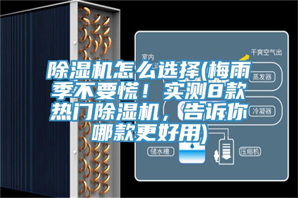 草莓污视频在线看怎麽選擇(梅雨季不要慌！實測8款熱門草莓污视频在线看，告訴你哪款更好用)