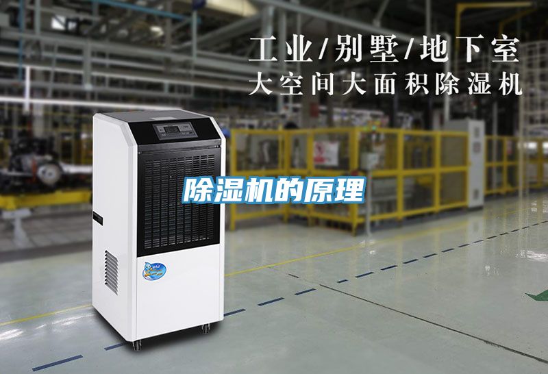 草莓污视频在线看的原理