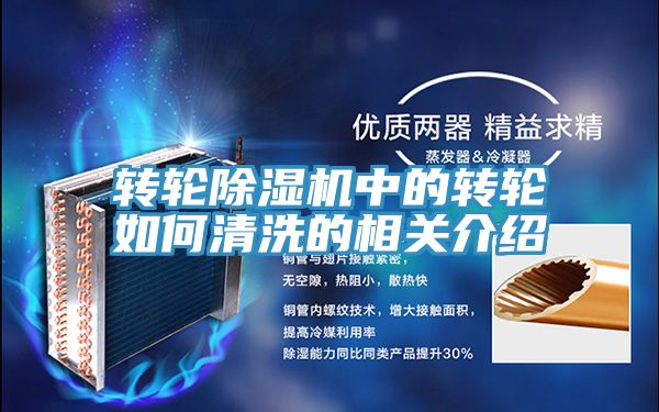 轉輪草莓污视频在线看中的轉輪如何清洗的相關介紹