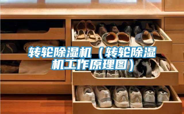 轉輪草莓污视频在线看（轉輪草莓污视频在线看工作原理圖）