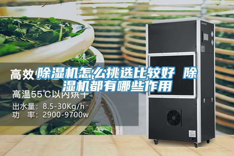 草莓污视频在线看怎麽挑選比較好 草莓污视频在线看都有哪些作用