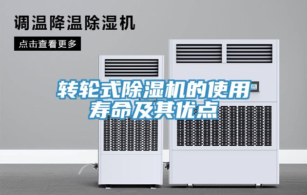 轉輪式草莓污视频在线看的使用壽命及其優點