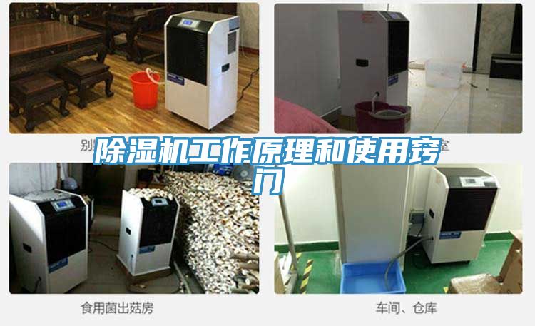 草莓污视频在线看工作原理和使用竅門