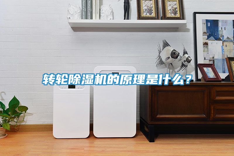 轉輪草莓污视频在线看的原理是什麽？