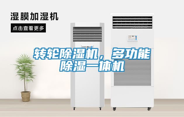轉輪草莓污视频在线看，多功能除濕一體機