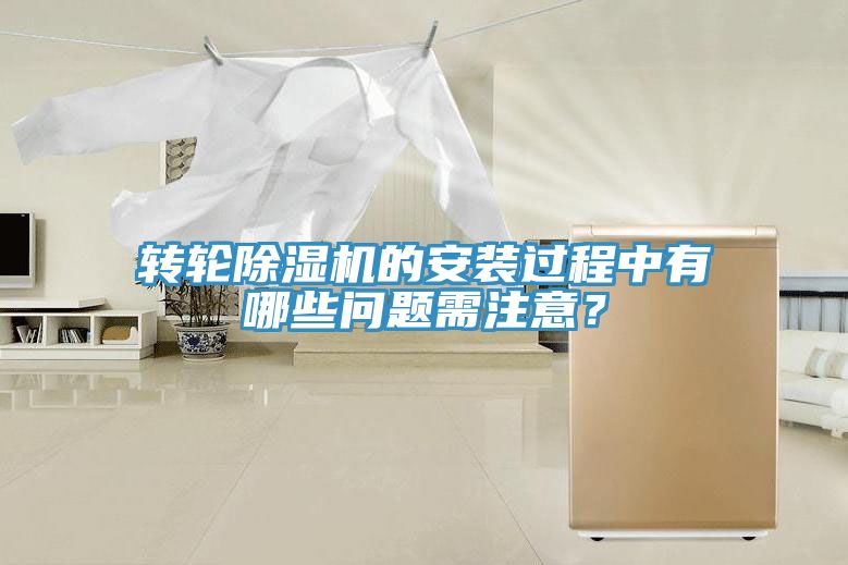 轉輪草莓污视频在线看的安裝過程中有哪些問題需注意？