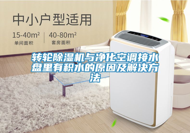 轉輪草莓污视频在线看與淨化空調接水盤裏有積水的原因及解決方法