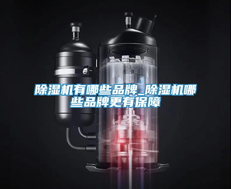 草莓污视频在线看有哪些品牌_草莓污视频在线看哪些品牌更有保障