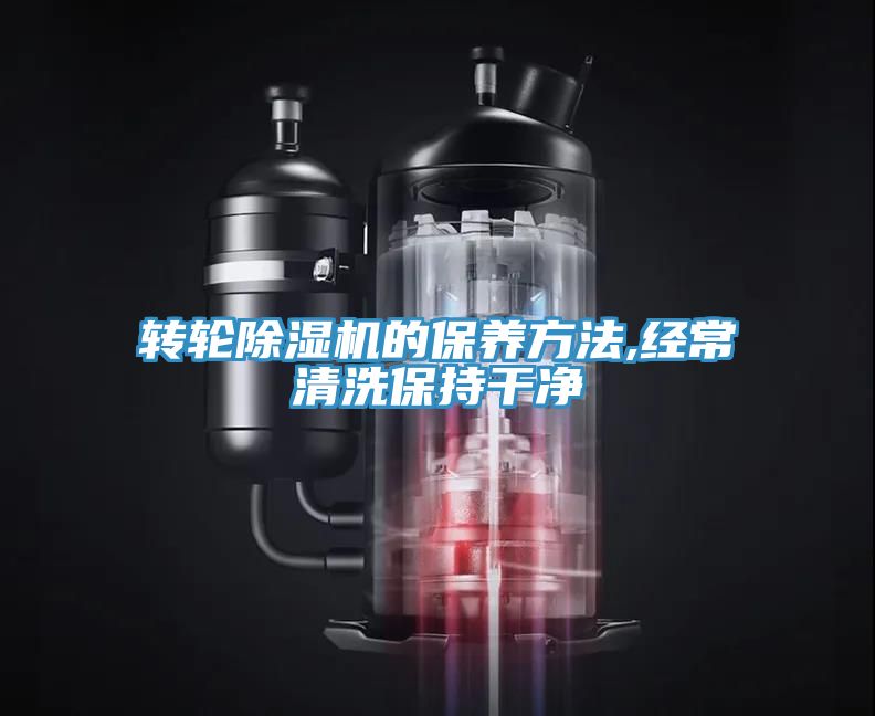 轉輪草莓污视频在线看的保養方法,經常清洗保持幹淨