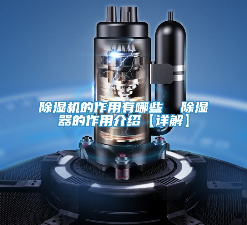 草莓污视频在线看的作用有哪些  除濕器的作用介紹【詳解】
