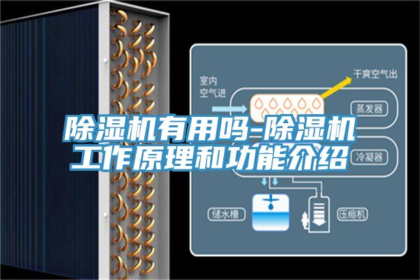 草莓污视频在线看有用嗎-草莓污视频在线看工作原理和功能介紹