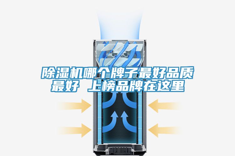 草莓污视频在线看哪個牌子最好品質最好 上榜品牌在這裏