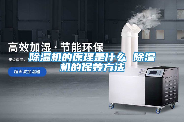 草莓污视频在线看的原理是什麽 草莓污视频在线看的保養方法