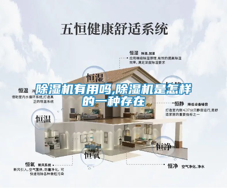 草莓污视频在线看有用嗎,草莓污视频在线看是怎樣的一種存在