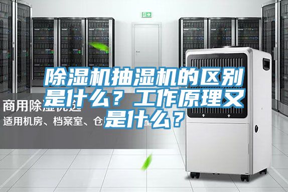 草莓污视频在线看抽濕機的區別是什麽？工作原理又是什麽？