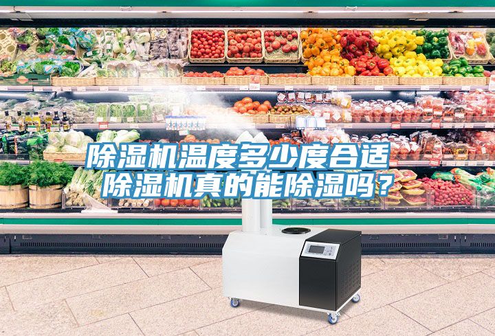 草莓污视频在线看溫度多少度合適 草莓污视频在线看真的能除濕嗎？
