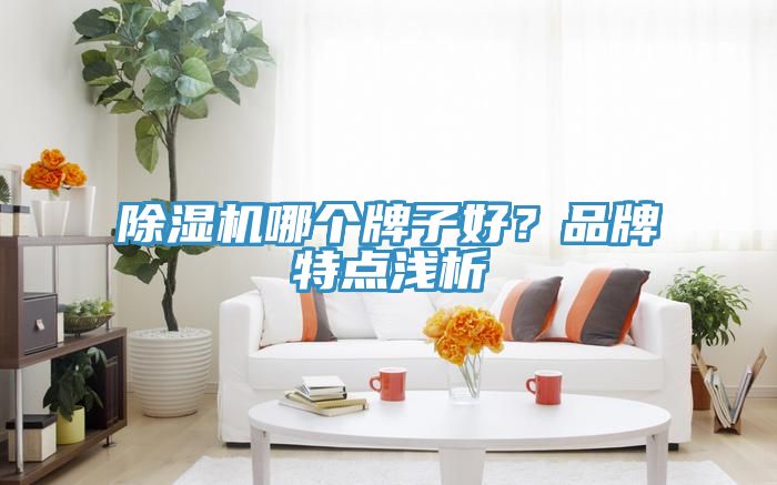 草莓污视频在线看哪個牌子好？品牌特點淺析