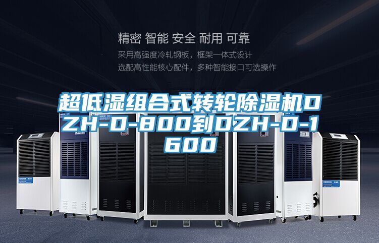 超低濕組合式轉輪草莓污视频在线看DZH-D-800到DZH-D-1600