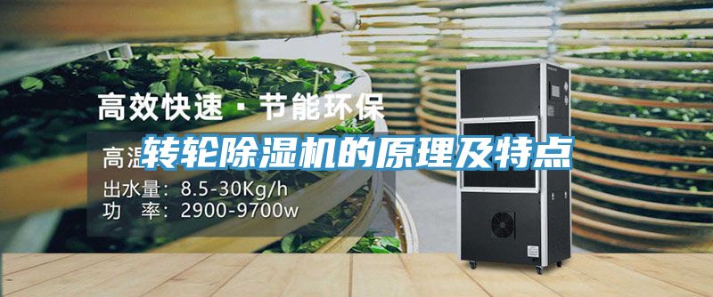 轉輪草莓污视频在线看的原理及特點