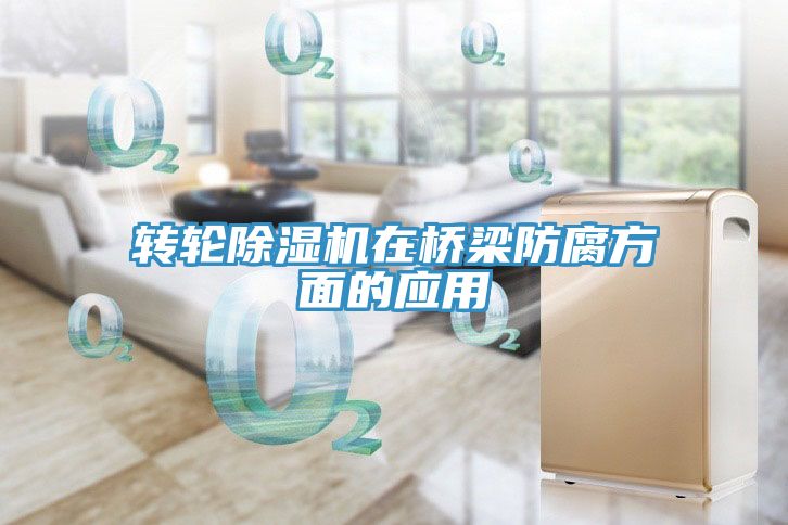 轉輪草莓污视频在线看在橋梁防腐方麵的應用