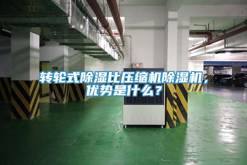 轉輪式除濕比壓縮機草莓污视频在线看，優勢是什麽？
