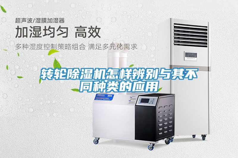 轉輪草莓污视频在线看怎樣辨別與其不同種類的應用