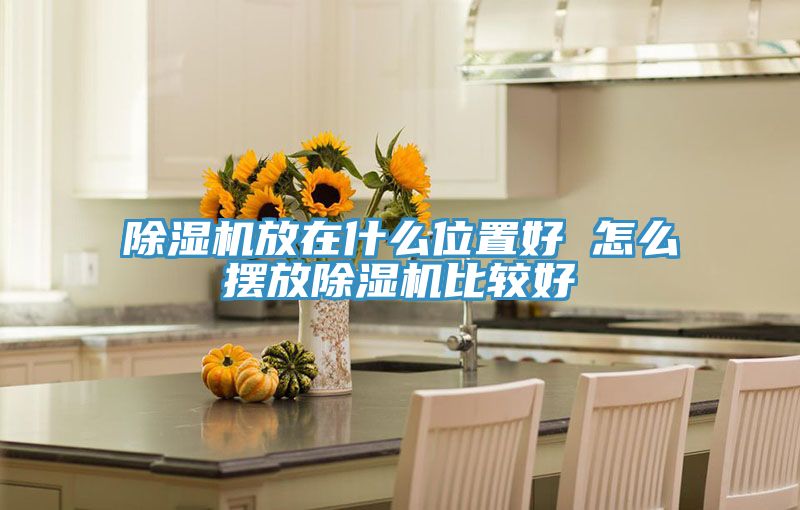 草莓污视频在线看放在什麽位置好 怎麽擺放草莓污视频在线看比較好