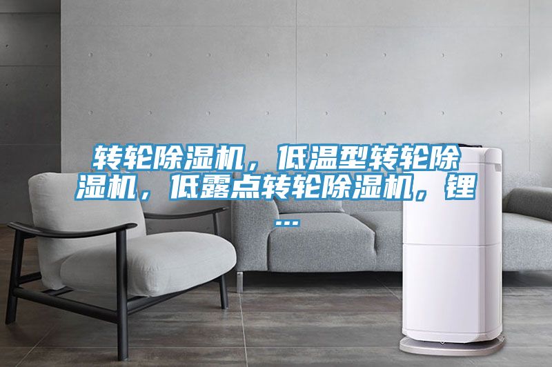 轉輪草莓污视频在线看，低溫型轉輪草莓污视频在线看，低露點轉輪草莓污视频在线看，鋰 ...