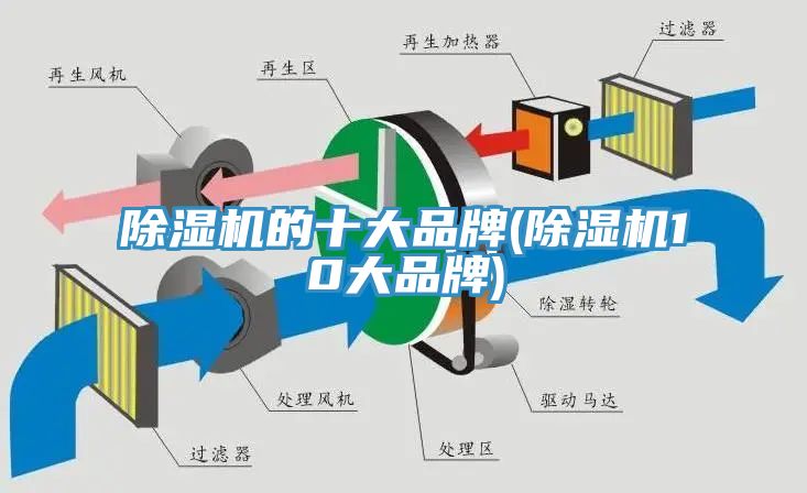 草莓污视频在线看的十大品牌(草莓污视频在线看10大品牌)