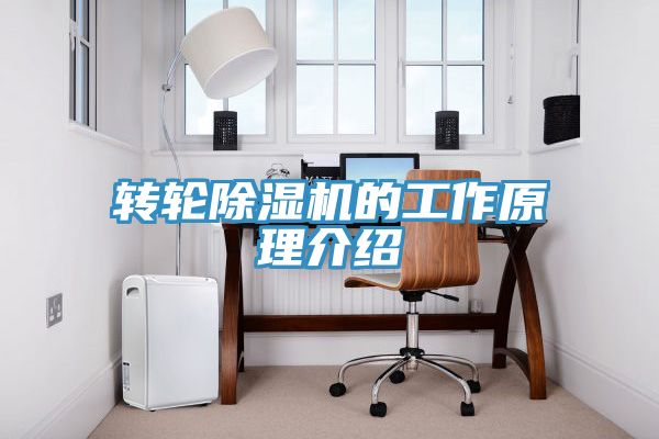 轉輪草莓污视频在线看的工作原理介紹