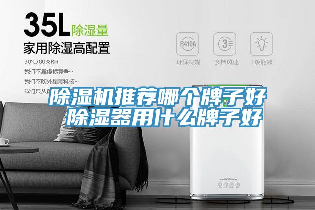 草莓污视频在线看推薦哪個牌子好 除濕器用什麽牌子好